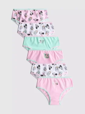 1.5-10yrs | 6pk disney's minnie mouse briefs