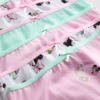 1.5-10yrs | 6pk disney's minnie mouse briefs