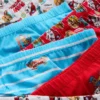 1.5-7yrs | 6pk paw patrol briefs
