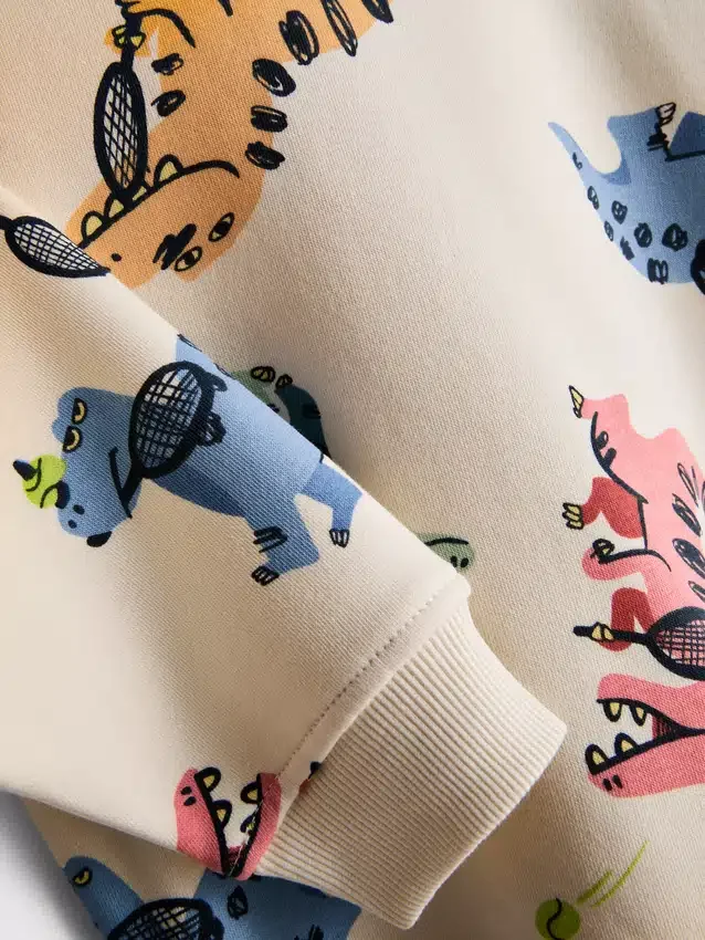 1.5-8yrs | dinosaur graphic sweatshirt and sweatpants set