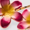 2pk floral hair slides