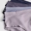 4pk microfiber high-waisted full briefs