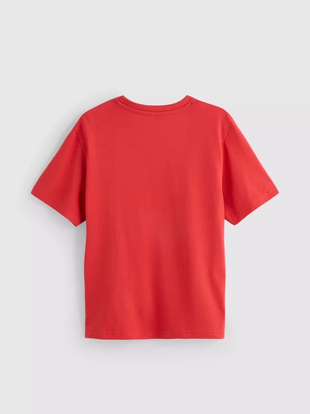 5-15yrs | minecraft graphic t-shirt