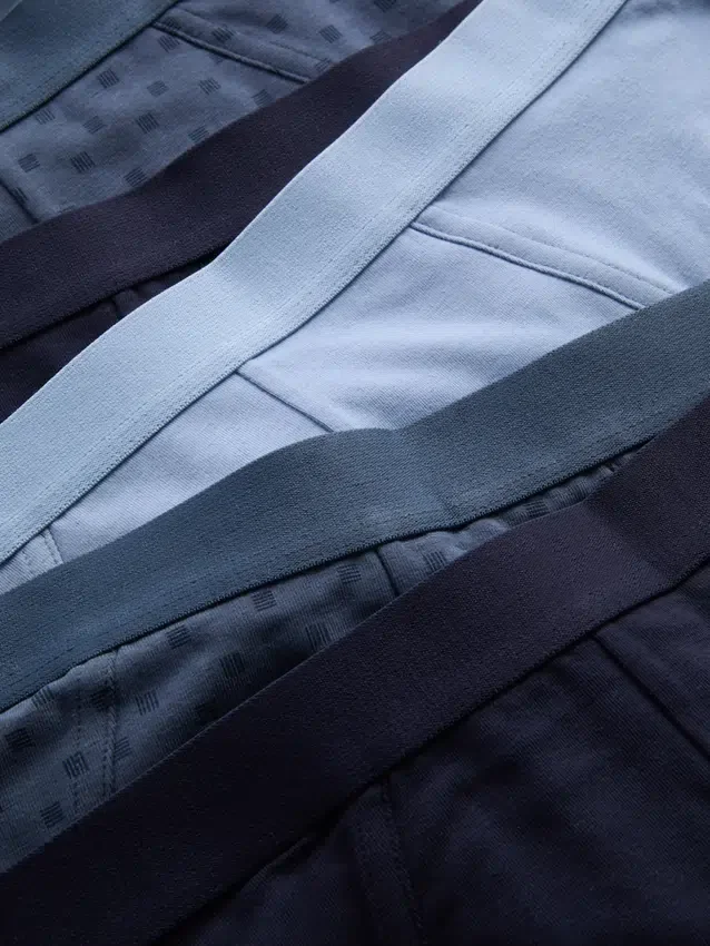 5pk patterned briefs