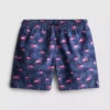 7-15yrs | flamingo graphic swim shorts
