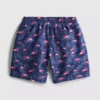 7-15yrs | flamingo graphic swim shorts