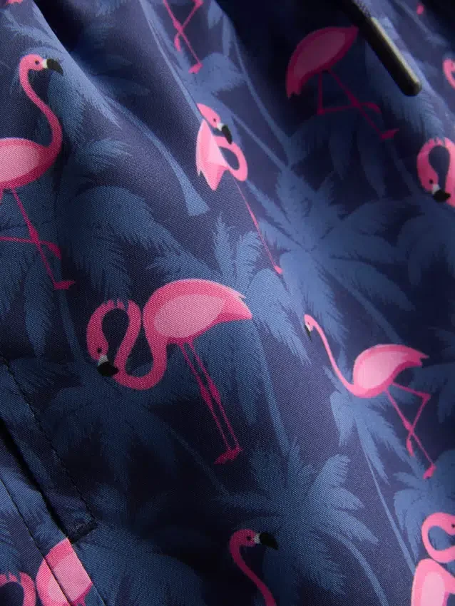 7-15yrs | flamingo graphic swim shorts
