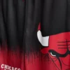 7-15yrs | nba chicago bulls mesh set