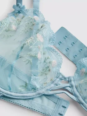A-e underwired sheer butterfly bra