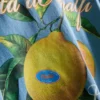 Amalfi lemon graphic t-shirt