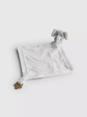 Born in 2026 baby comforter
