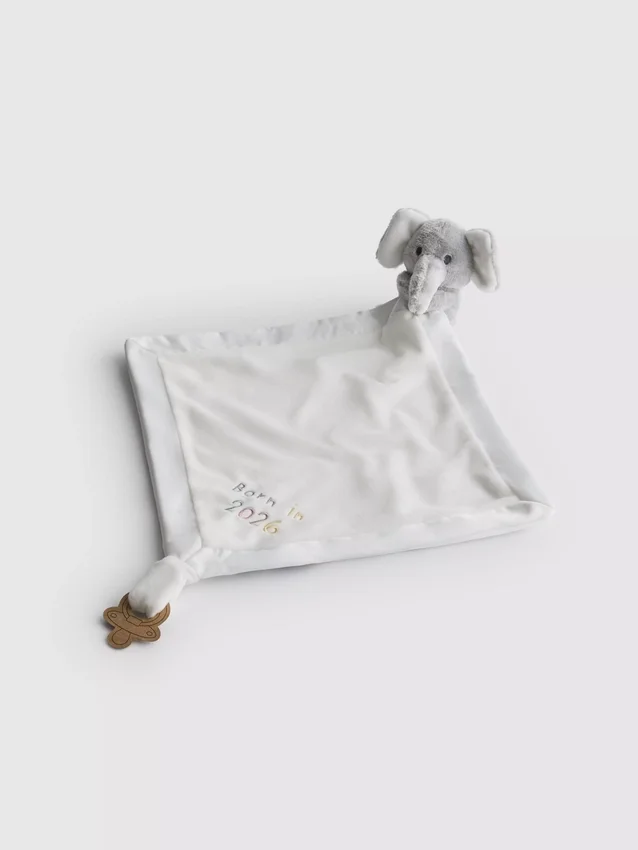 Born in 2026 baby comforter