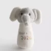 Born in 2026 rattle toy