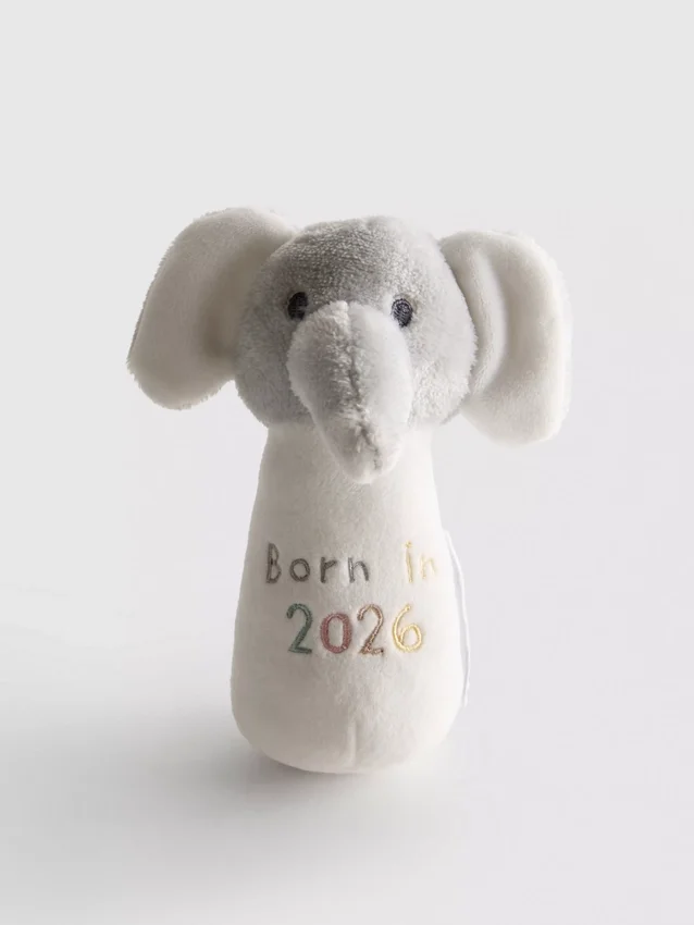 Born in 2026 rattle toy