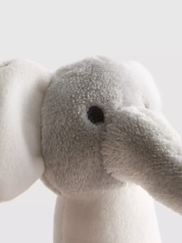 Born in 2026 rattle toy
