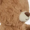 Classic teddy bear