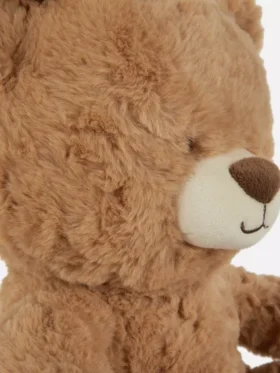 Classic teddy bear