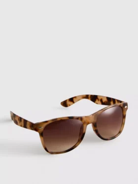 Classic wayfarer sunglasses