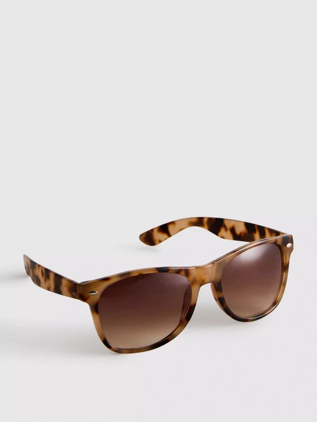 Classic wayfarer sunglasses