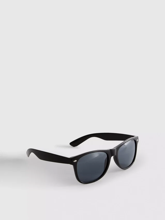 Classic wayfarer sunglasses