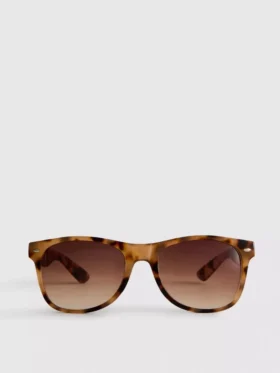 Classic wayfarer sunglasses