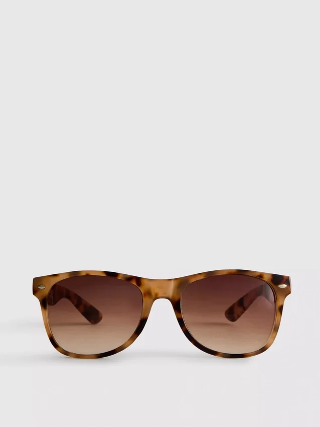 Classic wayfarer sunglasses