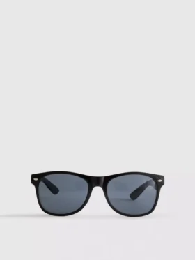 Classic wayfarer sunglasses