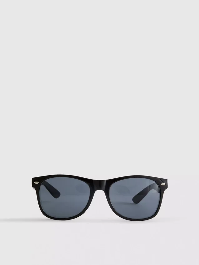 Classic wayfarer sunglasses