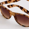 Classic wayfarer sunglasses