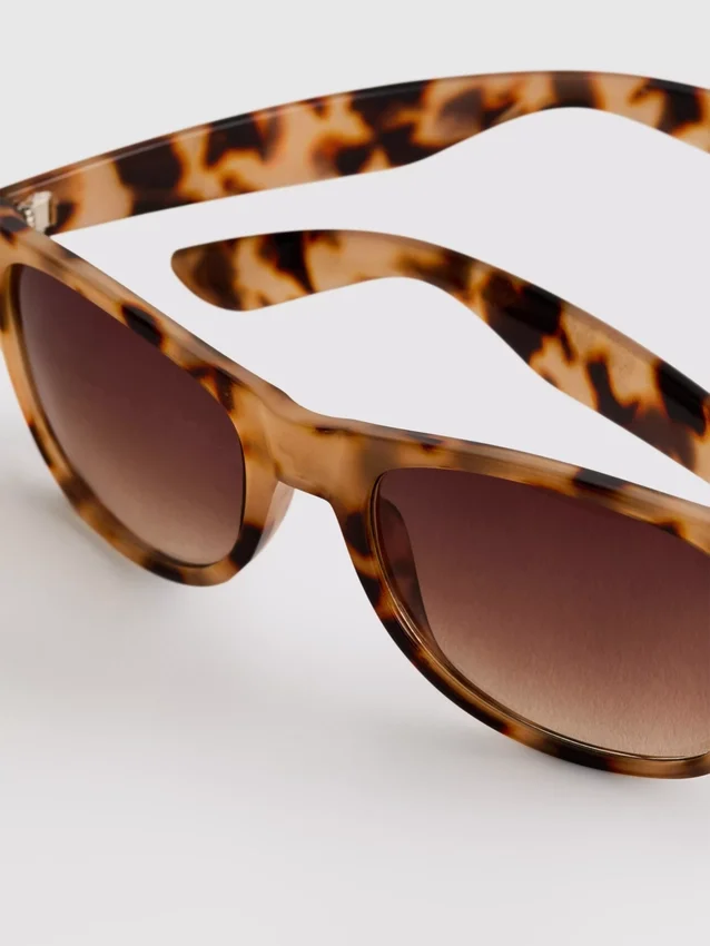 Classic wayfarer sunglasses