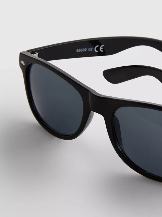 Classic wayfarer sunglasses
