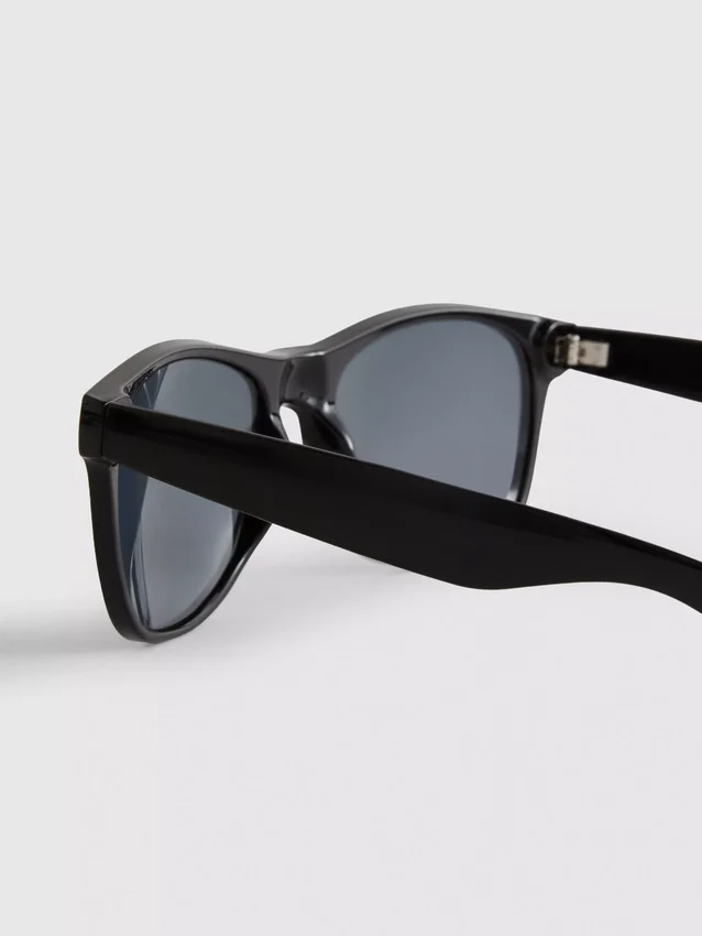 Classic wayfarer sunglasses
