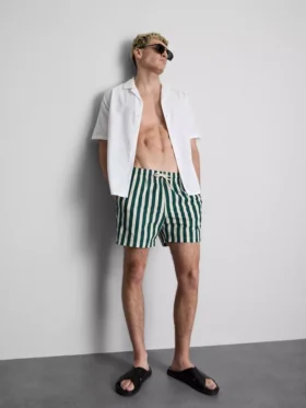 Deck chair stripe swim shorts