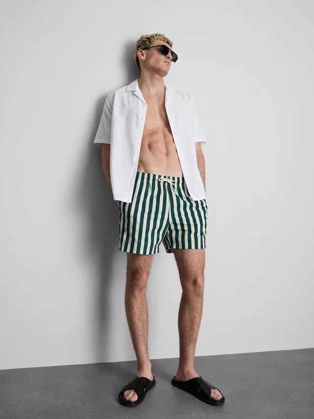 Deck chair stripe swim shorts