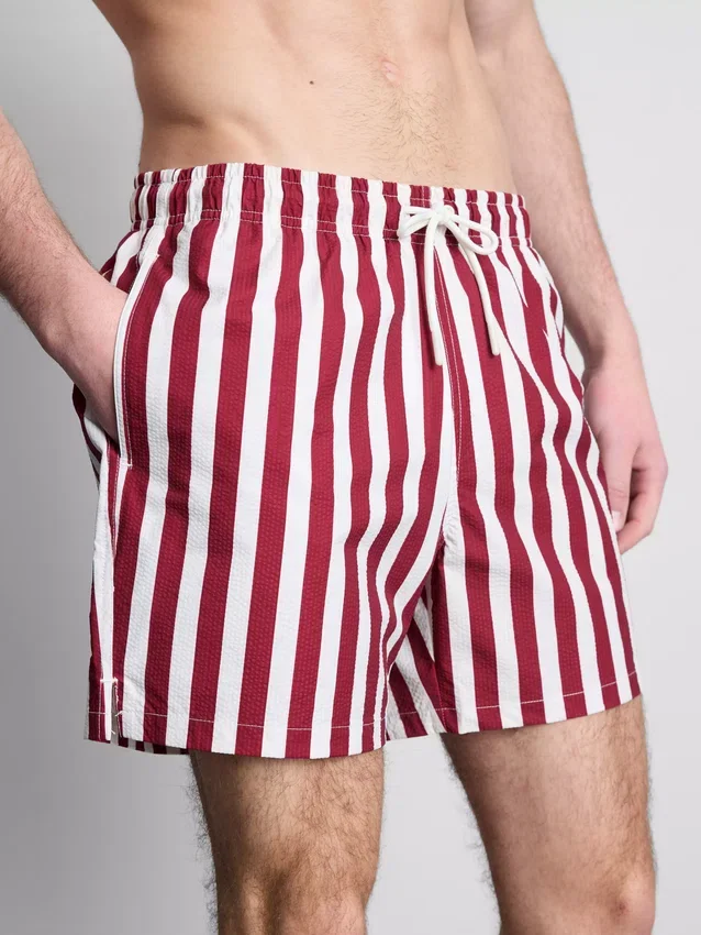Deck chair stripe swim shorts