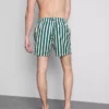 Deck chair stripe swim shorts