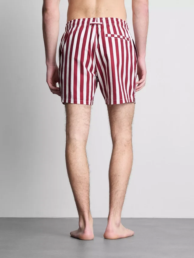 Deck chair stripe swim shorts