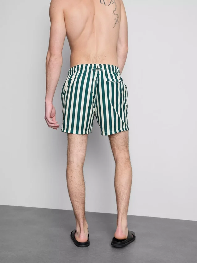 Deck chair stripe swim shorts