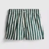 Deck chair stripe swim shorts
