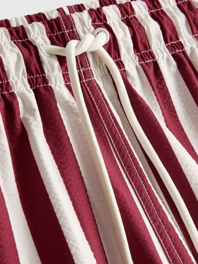 Deck chair stripe swim shorts