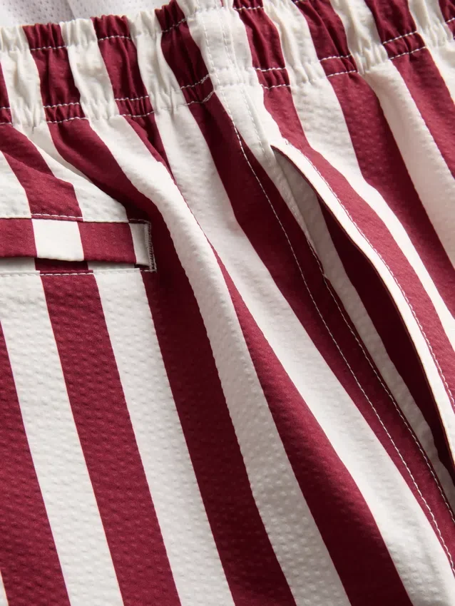 Deck chair stripe swim shorts