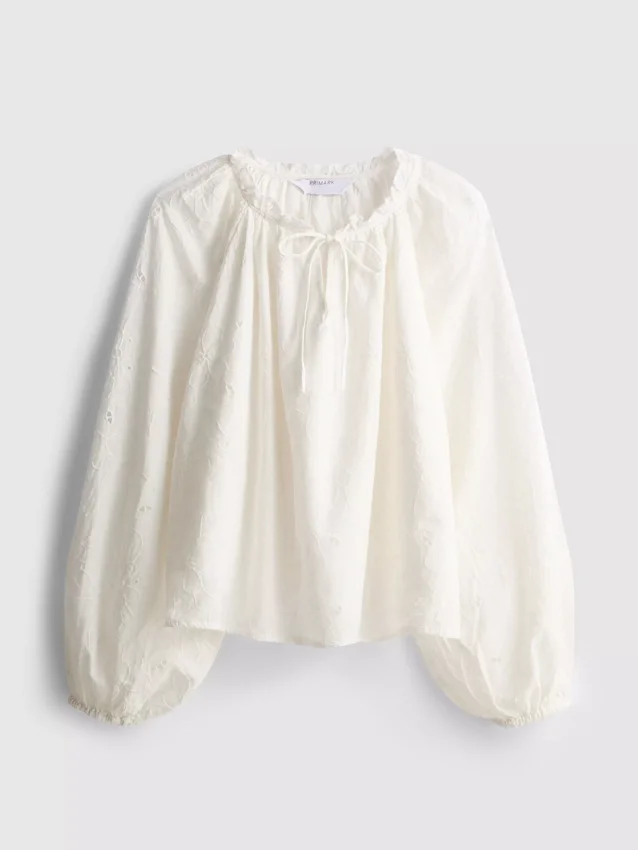 Embroidered balloon-sleeve blouse