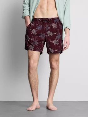 Embroidered palm tree swimming shorts