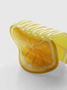Fruit slice hair clip