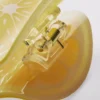 Fruit slice hair clip