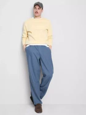 Linen blend pants