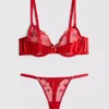 Mesh embroidered cherry underwear set