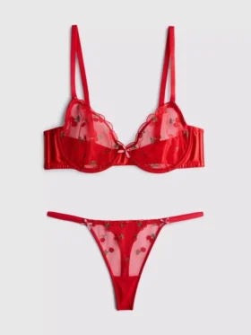 Mesh embroidered cherry underwear set