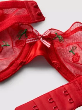 Mesh embroidered cherry underwear set