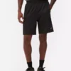 Mesh gym shorts
